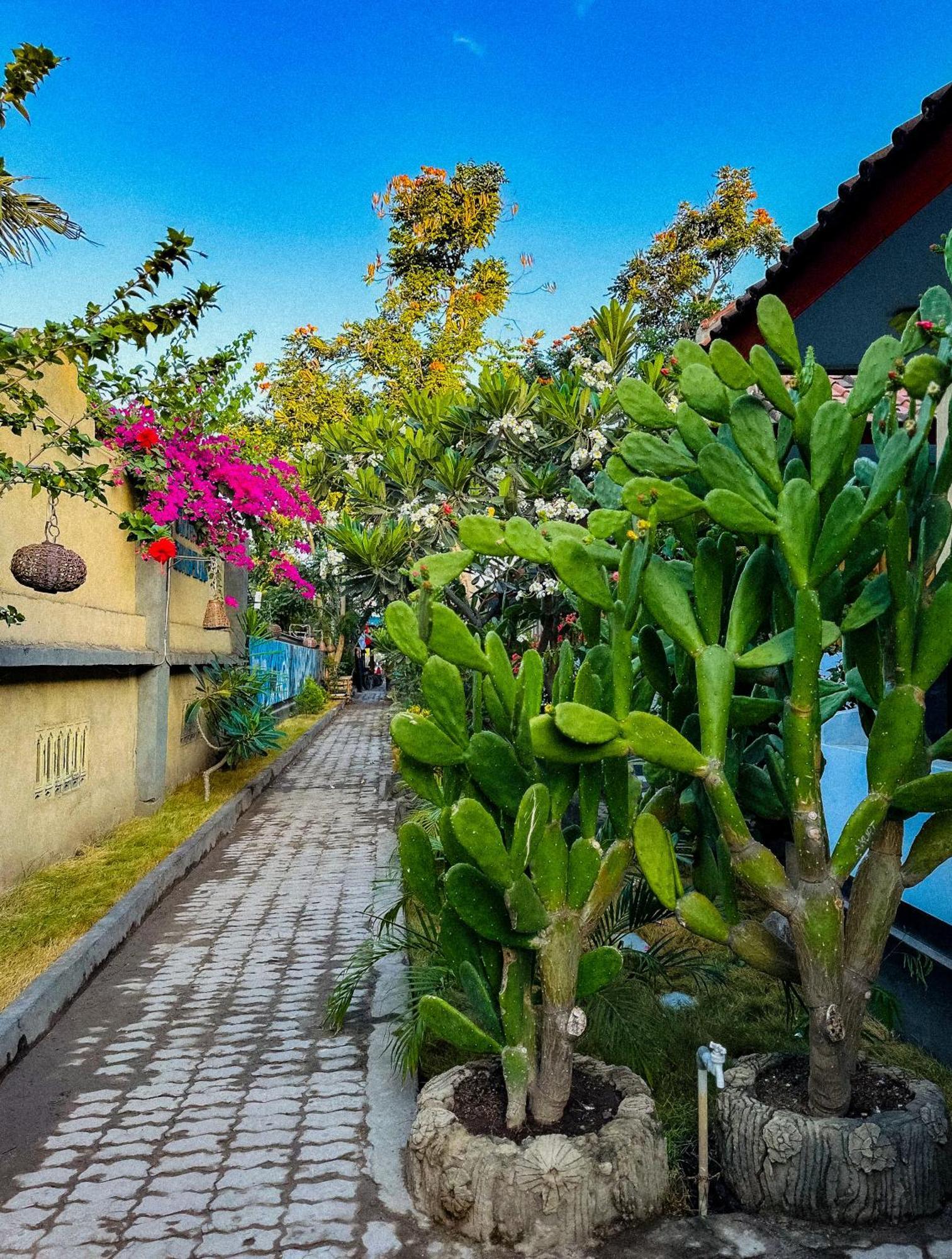 Creative Bungalow Beach Front Гілі-Траванган Екстер'єр фото
